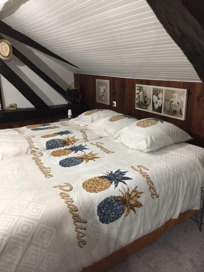 Maison Pres Du Circuit 24H Du Mans Arnage Ngoại thất bức ảnh